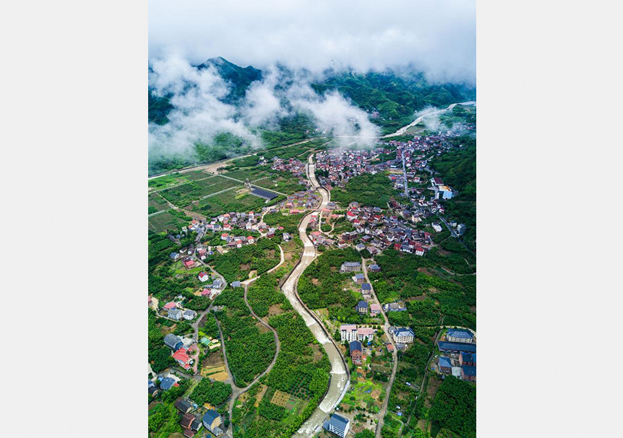 Aerial view of Tianmu Mountain natural conservation area in E China