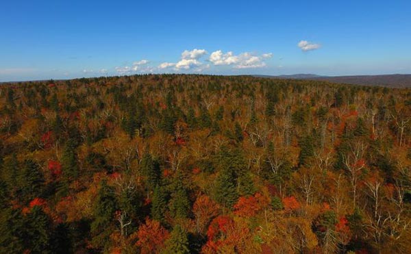 Jilin in autumn: Warm sunshine, bright colors and vibrant scenery