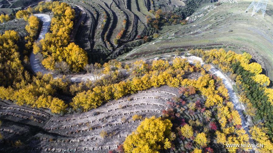 Stunning snapshots from autumn scenery across China