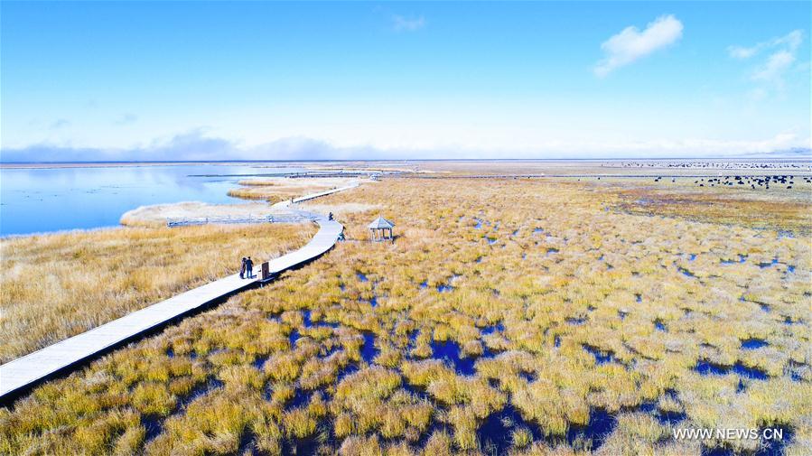 Autumn scenery of Ruoergai National Wetland Park in SW China