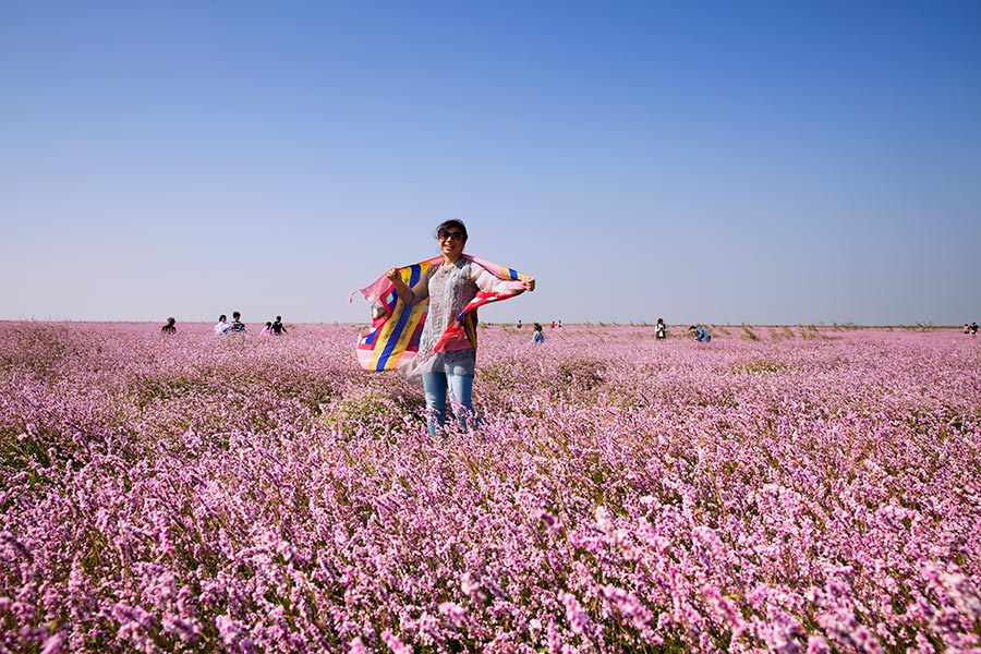 Sea of blossoms in Poyang Lake, E China