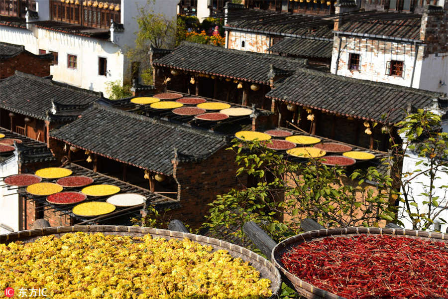 Colorful harvest in Wuyuan, E China