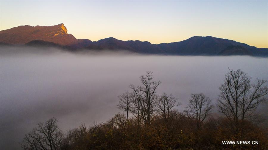 Autumn scenery of Shennongjia Forestry District in Hubei