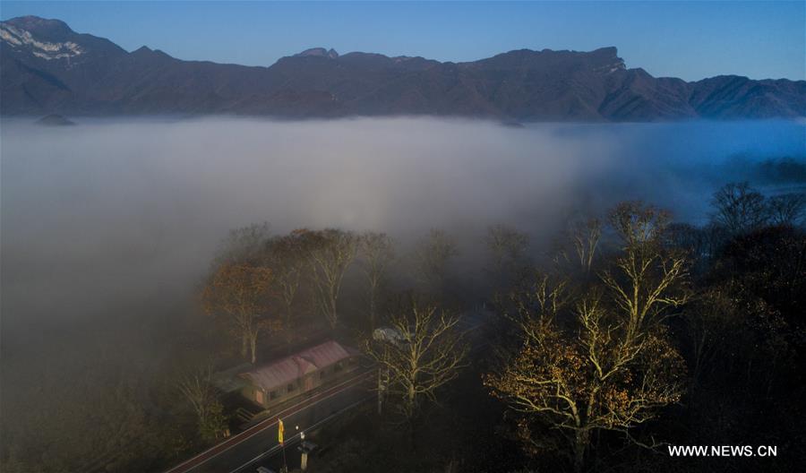 Autumn scenery of Shennongjia Forestry District in Hubei