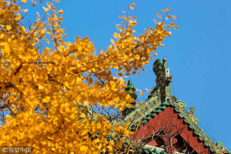 Monks show kung fu stunts under Shaolin Temple tree