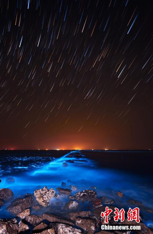 Sea turns blue with algae