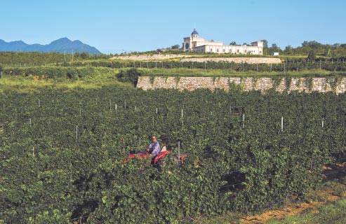 The countryside takes on a red hue for Fangshan visitors