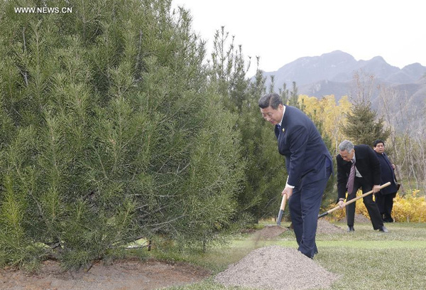 APEC leaders plant trees of friendship