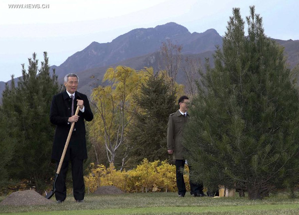 APEC leaders plant trees of friendship