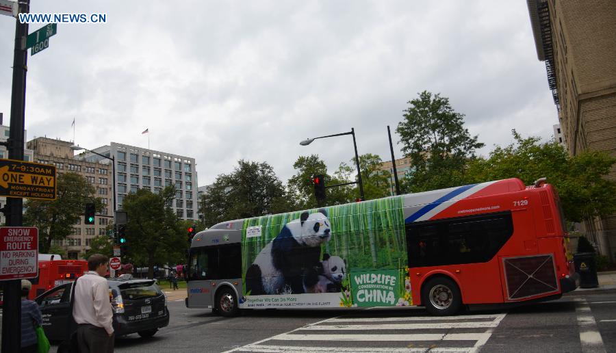 Buses with images of 6 endangered animals of China drive in US