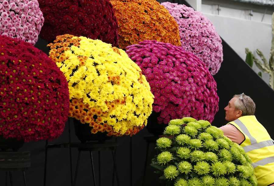 Chelsea Flower Show opens in London