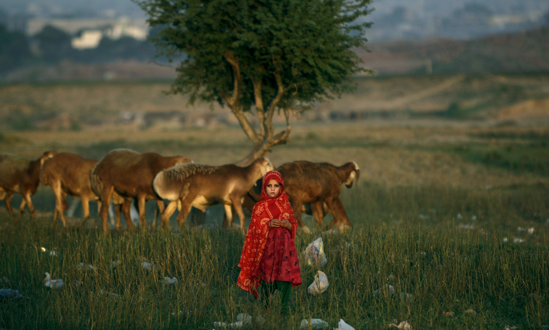 World Refugee Day: They could smile harder and more