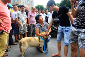 Dog and Cat Expo held in the Philippines