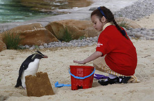 Time to know whether animals got a good figure at London zoo