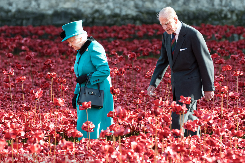 UK royals visit 'Blood Swept Lands and Seas of Red'