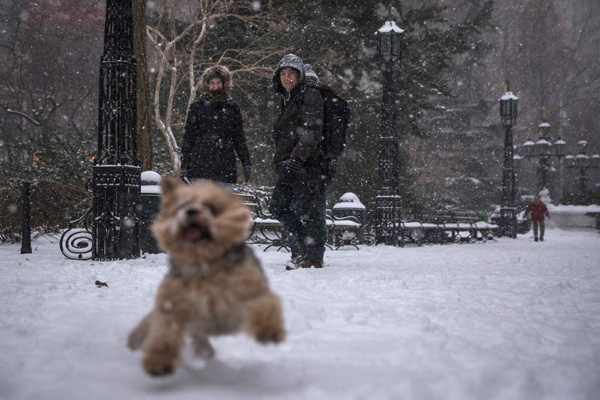 New York declares state of emergency for severe blizzard