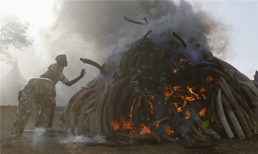 The world in photos: March 2 - March 8