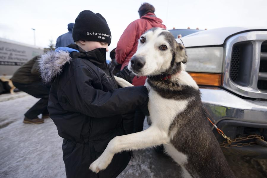 Iditarod Trail Sled Dog race paves a new way