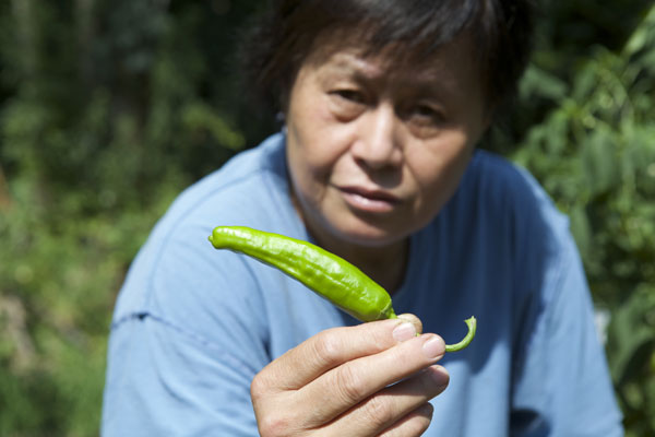 Seniors create little corner of China in Yale garden