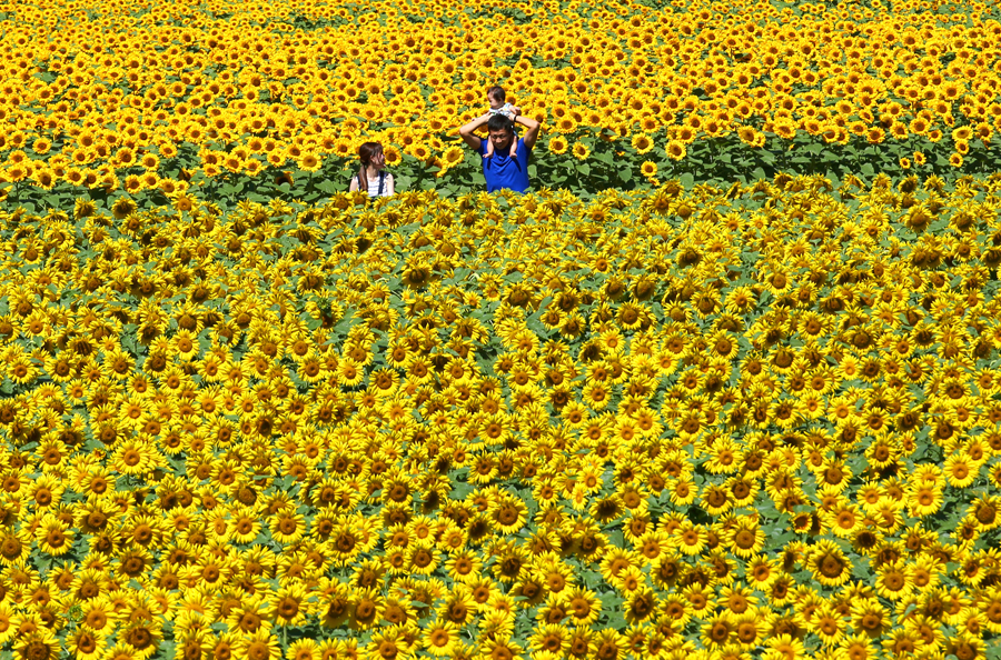 The world in photos: Aug 8- Aug 14