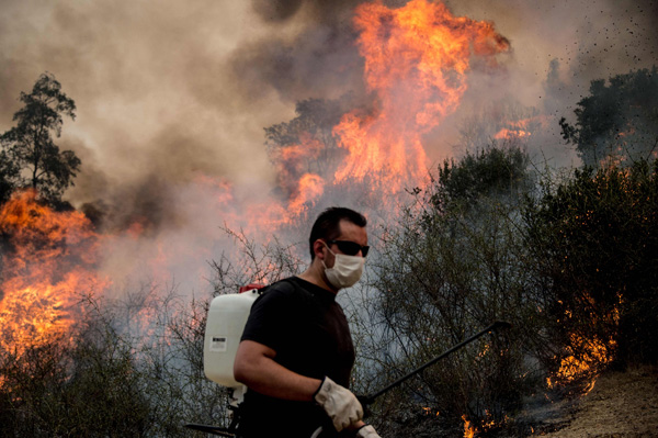 Chile declares state of emergency due to massive wildfires