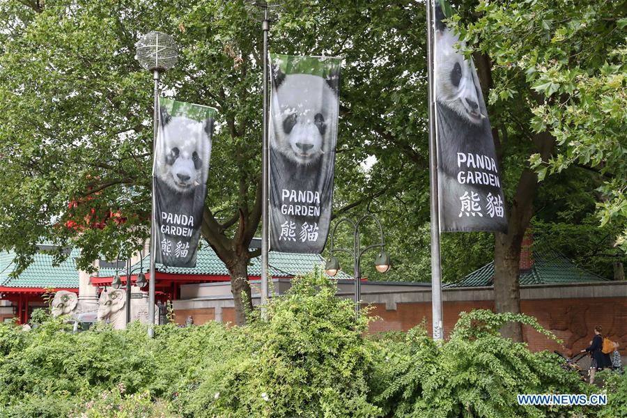 People visit pandas from SW China at Zoo Berlin