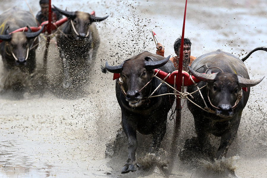 The world in photos: July 10-16